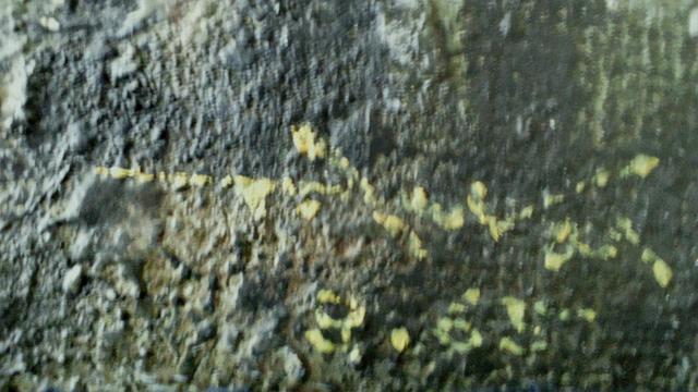 G  `O w䂭x^ۏ ]ː에   zr[ 