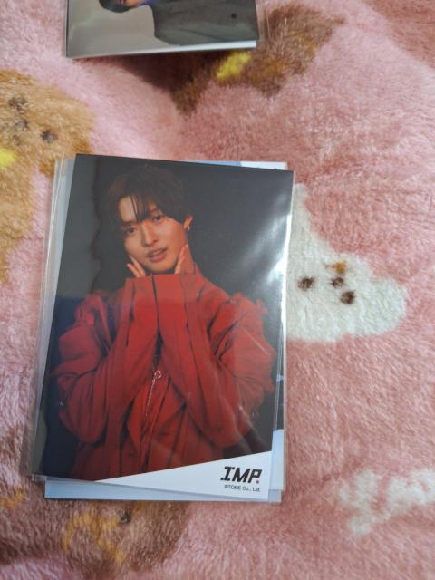 IMPVʐ^   ^gObY 