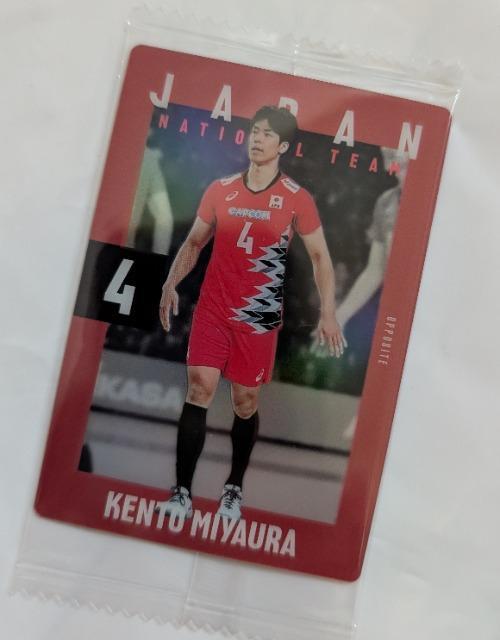 �W�F�C�e�N�g�X�e�B���O�X���m���{�Y���l���l�[���^�I�����g�[�g�o�b�O���V�i���������� �� ���W���[/�X�|�[�c�� 