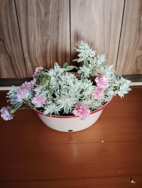 ブリザーブドフラワー < 女性ファッション ブリザーブドフラワー < 女性ファッションの