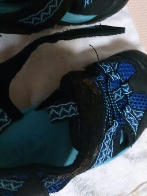 19.0cm ASBEE サンダル 美品 < キッズ/ベビー 19.0cm ASBEE サンダル 美品 < キッズ/ベビーの