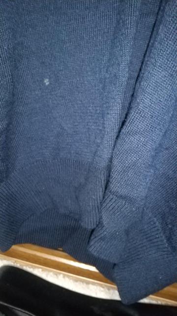 LACOSTE�t�A�H�Z�[�^�[