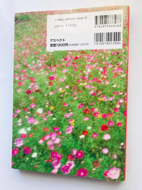 女神異聞録 ペルソナ 公式ガイドブック 攻略本 初版 PS Megami Ibunroku Persona Guide Book < ゲーム本体/ソフト 女神異聞録 ペルソナ 公式ガイドブック 攻略本 初版 PS Megami Ibunroku Persona Guide Book < ゲーム本体/ソフトの