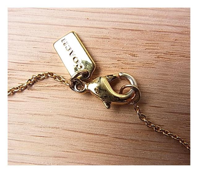 ���K���iCOACH �R�[�` C���S ���C���X�g�[�� �l�b�N���X �� �u�����h�� 