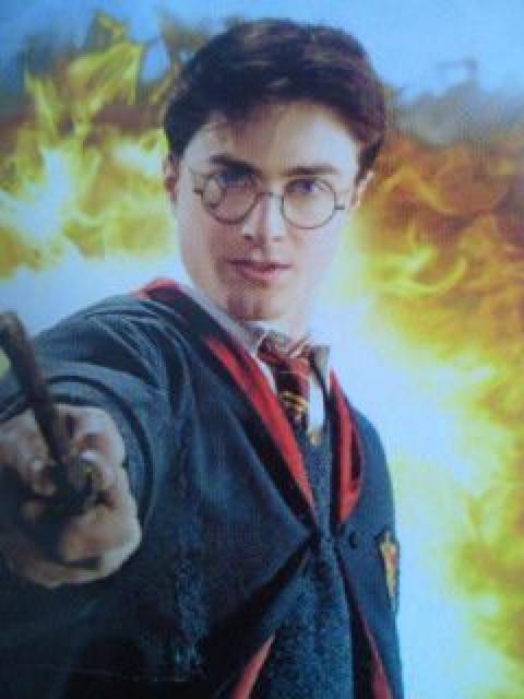 f n[|b^[Ɠ̃vX }t[^ gуXgbv CG[   zr[ 