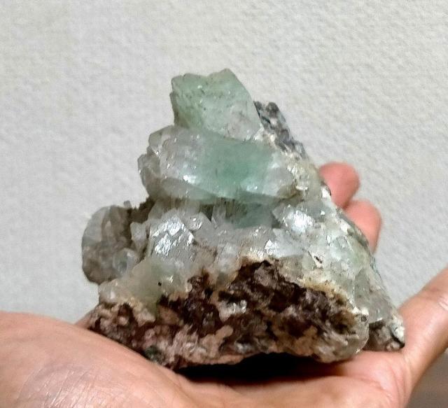  O[A|tBCg  VR NX^[  zr[ 