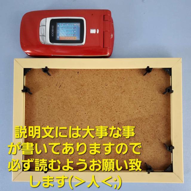 ݁񔄕ĩW[Ipu~[ij͐ΓOVSW[  Aj/R~bN/LN^[ 