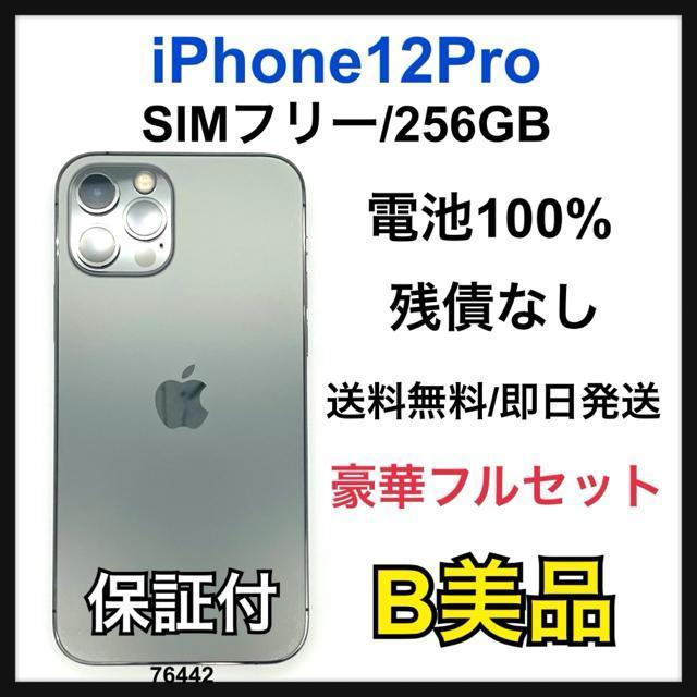 B 100% iPhone 12 Pro 256 GB SIM�t���[ �{��  �� �Ɠd/AV�� 