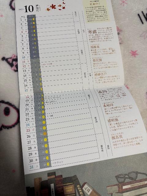 �V�R�����G���t�^��2026�N�J�����_�[ �� �z�r�[�� 