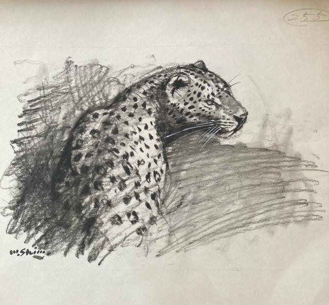 G ãCXg[^[s2ty M TC ^ۏ    zr[ 