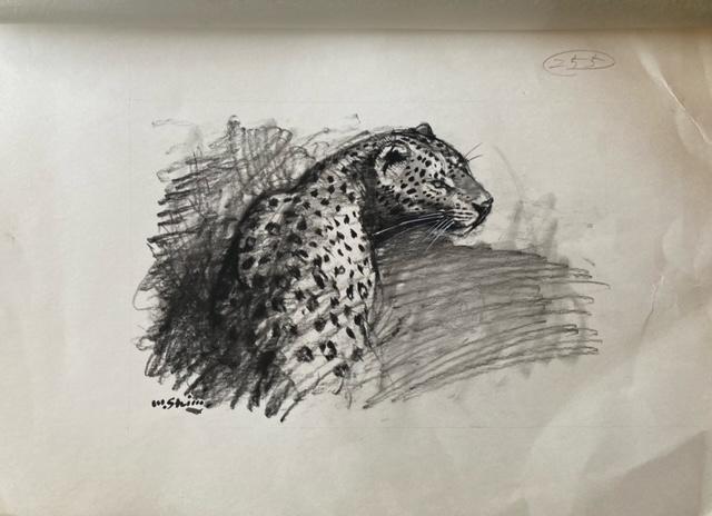 G ãCXg[^[s2ty M TC ^ۏ   zr[ 