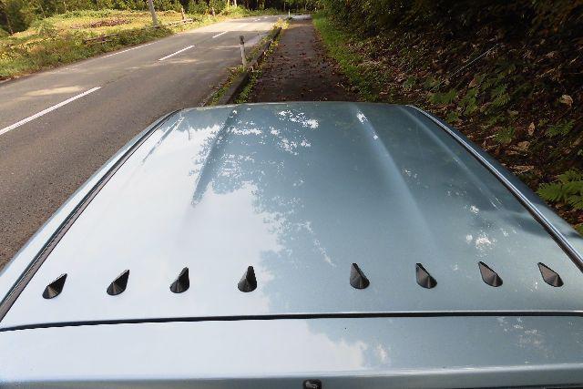 アルト 取付例あり ルーフデコレーションダミーアンテナ < 自動車/バイク アルト 取付例あり ルーフデコレーションダミーアンテナ < 自動車/バイク