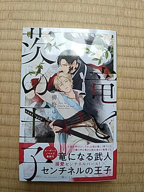 竜と茨の王子 櫛野ゆい/二駒レイム < 本/雑誌 竜と茨の王子 櫛野ゆい/二駒レイム < 本/雑誌の