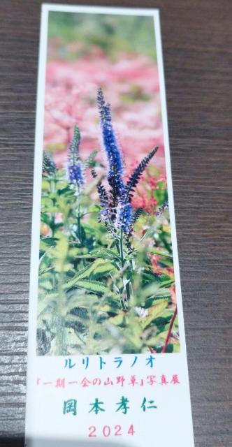 磐田市 旧赤松家記念館 しっぺい しおり 山野草の写真家岡本孝仁 しおり < ホビー 磐田市 旧赤松家記念館 しっぺい しおり 山野草の写真家岡本孝仁 しおり < ホビーの