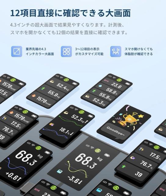 ViAJYINOLIFE x̑gv ̏dv ̎b ubN  wX/r[eB[ 