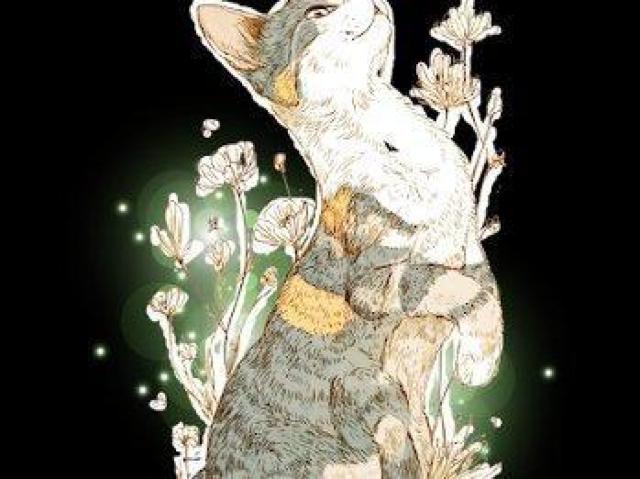 nCNIeB[ TVcL@X@킢  t@bV 