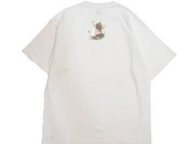 nCNIeB[ TVcL@X@킢  t@bV 