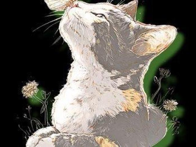 nCNIeB[ TVcL@X@킢  t@bV 