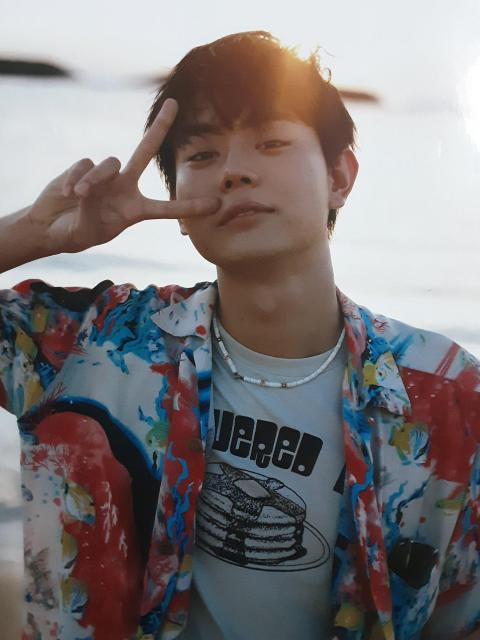 タイトル長すぎ!菅田将暉DVD付きフォトブック「誰かと作った何かを < タレントグッズ  タイトル長すぎ!菅田将暉DVD付きフォトブック「誰かと作った何かを  < タレントグッズの
