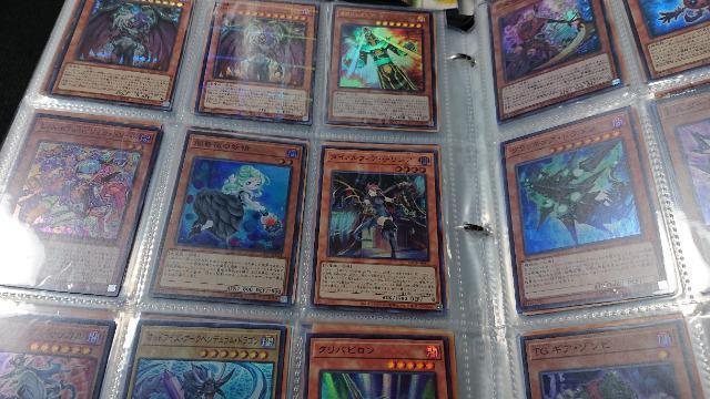 J[hQ[EVYEAȏEPTOOȏZbg   g[fBOJ[h 