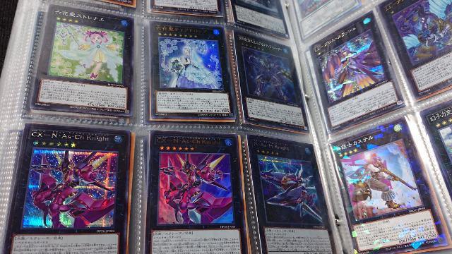 J[hQ[EVYEAȏEPTOOȏZbg  g[fBOJ[h 