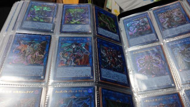 J[hQ[EVYEAȏEPTOOȏZbg  g[fBOJ[h 