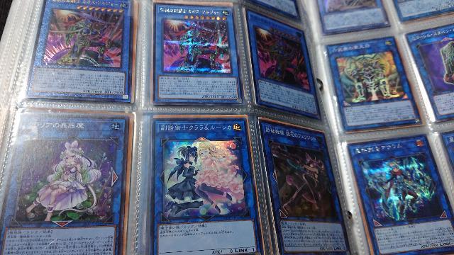 J[hQ[EVYEAȏEPTOOȏZbg  g[fBOJ[h 