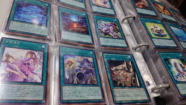 J[hQ[EVYEAȏEPTOOȏZbg  g[fBOJ[h 