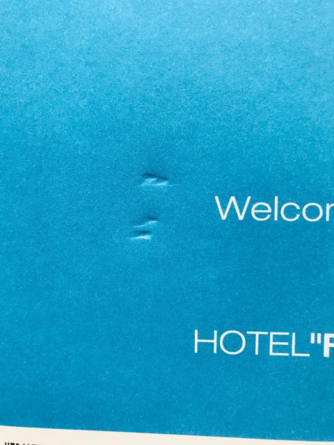 ԂƑzƉJƁ@Official Fan Book@ē + THE LOSPASS@U{@KCh@Ł@  Q[{/\tg 