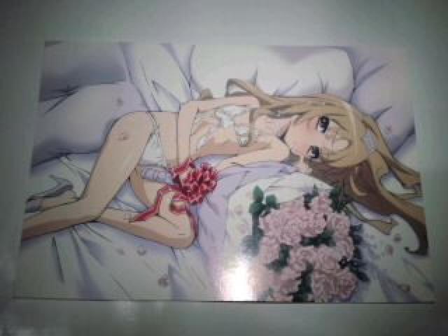 とらドラ! 非売品 限定 ポストカード 2枚セット Sランク < アニメ/コミック/キャラクター  とらドラ! 非売品 限定 ポストカード 2枚セット Sランク < アニメ/コミック/キャラクターの