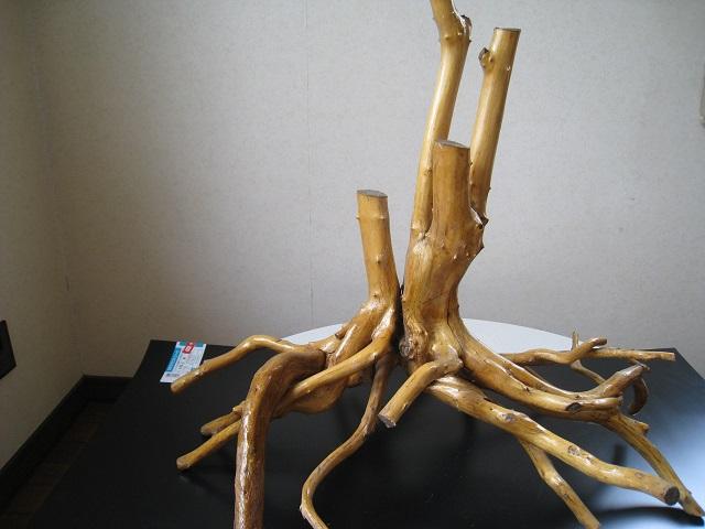 ؂̃c@؍Hi@VR؁@VRA[g@QZbg   zr[ 