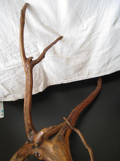 ؂̃c@؍Hi@VR؁@VRA[g@QZbg  zr[ 