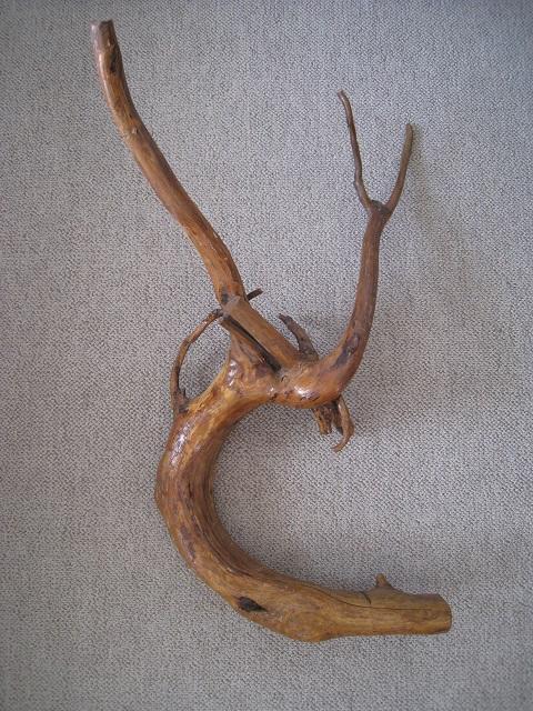 ؂̃c@؍Hi@VR؁@VRA[g@QZbg  zr[ 