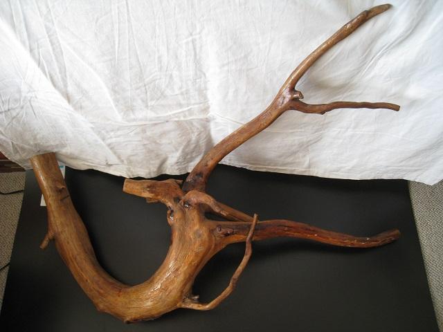 ؂̃c@؍Hi@VR؁@VRA[g@QZbg  zr[ 