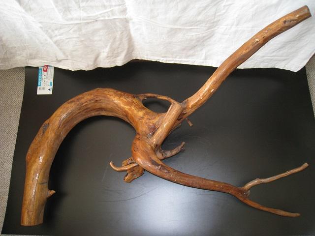 ؂̃c@؍Hi@VR؁@VRA[g@QZbg  zr[ 