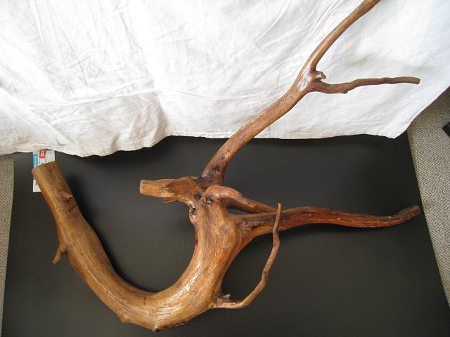 ؂̃c@؍Hi@VR؁@VRA[g@QZbg  zr[ 