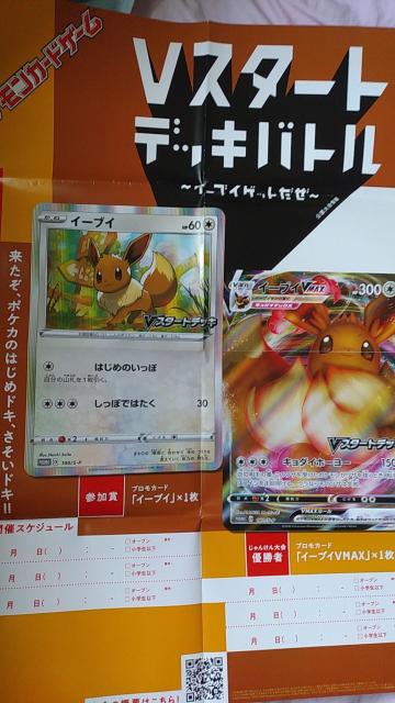 宣伝ポスター ポケモンカードゲーム Vスタートデッキバトル < アニメ/コミック/キャラクター  宣伝ポスター ポケモンカードゲーム Vスタートデッキバトル  < アニメ/コミック/キャラクターの