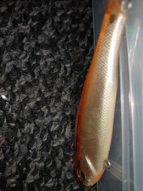 マール・アミーゴ MARIA MAR AMIGO シーバス ルアー 海 港 湾 釣具 < レジャー/スポーツ  マール・アミーゴ MARIA MAR AMIGO シーバス ルアー 海 港 湾 釣具 < レジャー/スポーツの