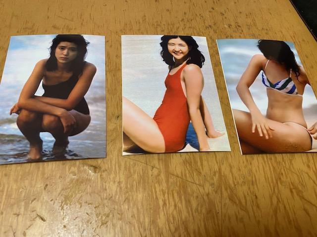 紺野美沙子 写真3枚セット★3 < タレントグッズ 紺野美沙子 写真3枚セット★3 < タレントグッズの