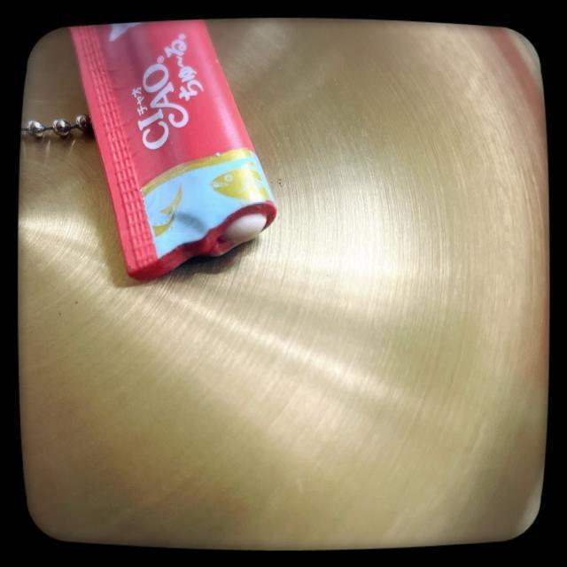 JvZRNV CIAO` Ԃ炳}XRbg K` ܂ L lR