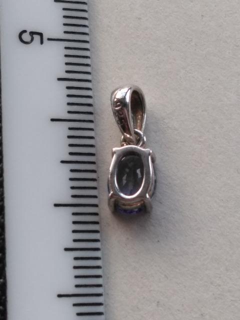 �^���U�i�C�g�@�V���o�[�y���_���g�g�b�v �� �����A�N�Z�T���[/���v�� 