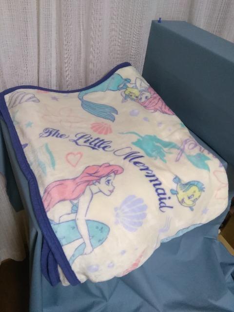 �f�B�Y�j�[���g���}�[���C�h�@�t�����l���u�����P�b�g �� �A�j��/�R�~�b�N/�L�����N�^�[�� 