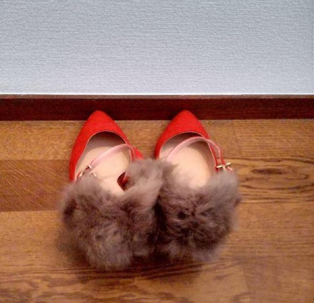 {\VROb^[ tFCNt@[ bh pvX 24.5p  t@bV 