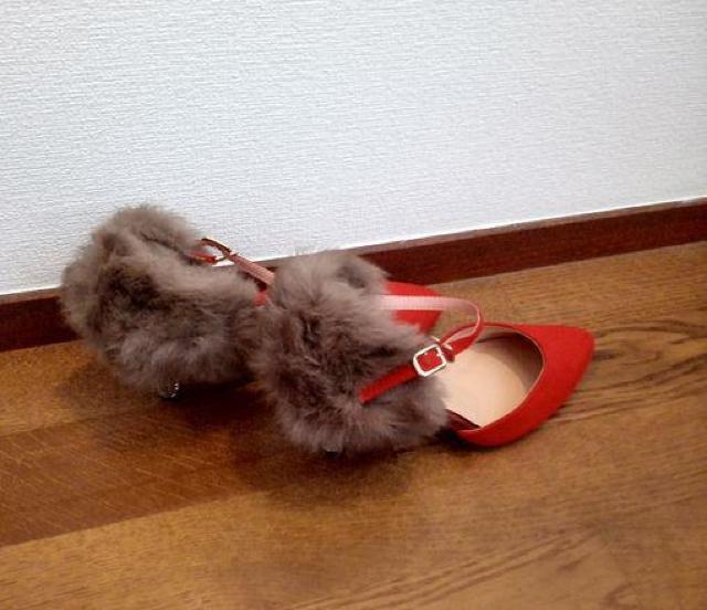 {\VROb^[ tFCNt@[ bh pvX 24.5p  t@bV 