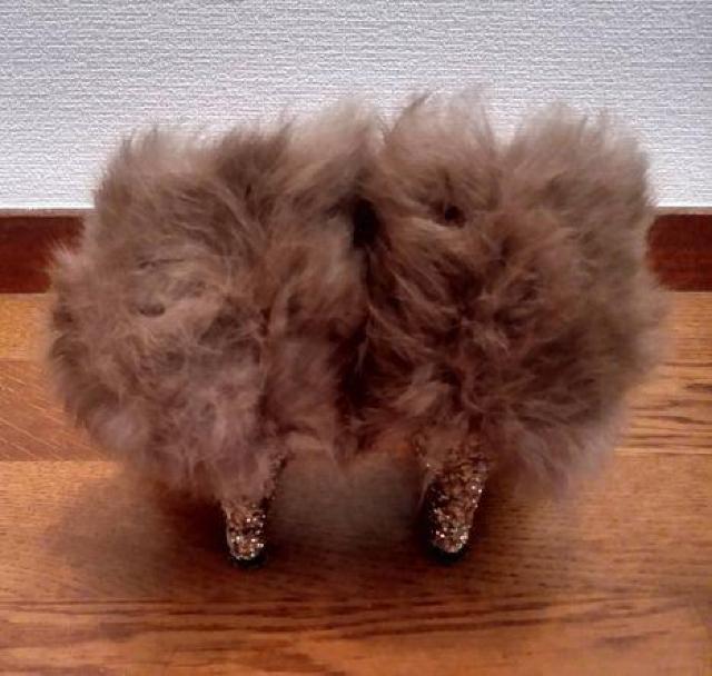 {\VROb^[ tFCNt@[ bh pvX 24.5p  t@bV 