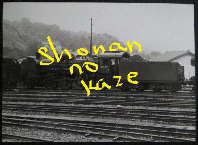 ubTWRPUv̋MdȃLrlTCY̎ʐ^   zr[ 