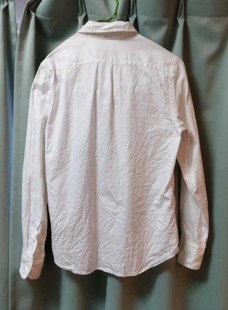 ドレステリア DRESSTERIOR 厚手綿ジャストフィット ボタンダウンシャツ < 女性ファッション  ドレステリア DRESSTERIOR 厚手綿ジャストフィット ボタンダウンシャツ < 女性ファッションの