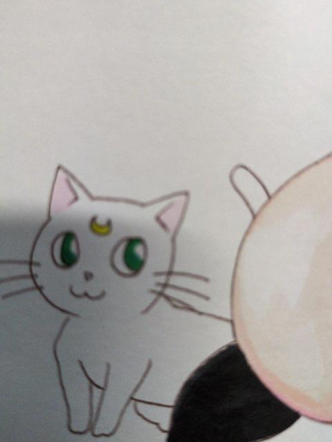 CXgEEZ[[[EZ[[}[L[E숟EEEF