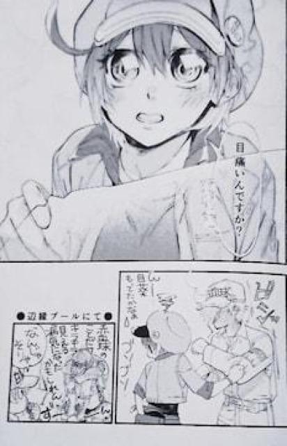 はたらく細胞同人誌「木漏れ日本舗白くて赤い」白血球×赤血球 < アニメ/コミック/キャラクター  はたらく細胞同人誌「木漏れ日本舗白くて赤い」白血球×赤血球 < アニメ/コミック/キャラクターの