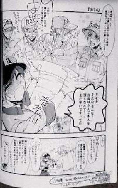 はたらく細胞同人誌「木漏れ日本舗白くて赤い」白血球×赤血球 < アニメ/コミック/キャラクター  はたらく細胞同人誌「木漏れ日本舗白くて赤い」白血球×赤血球 < アニメ/コミック/キャラクターの